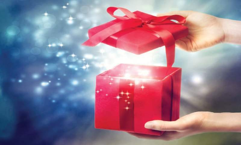 Les 100+ meilleures idées cadeaux pour 2023 anniversaire, noël, femme - homme - fille - garçon - Jardin D'Eyden - jardindeyden.fr