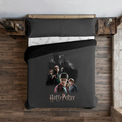 Housse de Couette Harry Potter Rivalry Multicouleur 200 x 200 cm Lit de 120